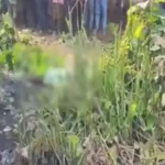 https://news4u36.in/raipur-dead-body-found-urla-banjari/