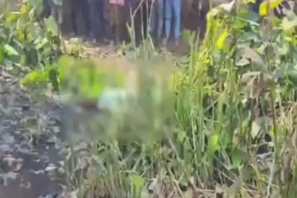https://news4u36.in/raipur-dead-body-found-urla-banjari/