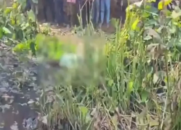 https://news4u36.in/raipur-dead-body-found-urla-banjari/