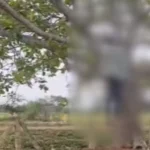 https://news4u36.in/bargad-tree-hanging-case-in-durg-village/