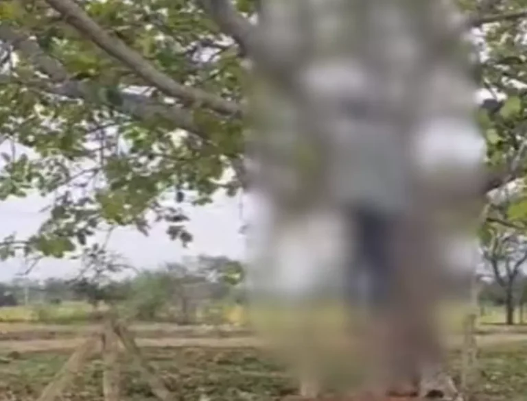 https://news4u36.in/bargad-tree-hanging-case-in-durg-village/
