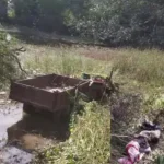 https://news4u36.in/raigarh-road-accident-tractor-hit-bike-one-dead-two-injured/