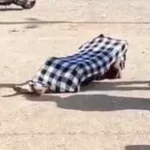 https://news4u36.in/bilaspur-class-9-student-suicide-arpa-river/