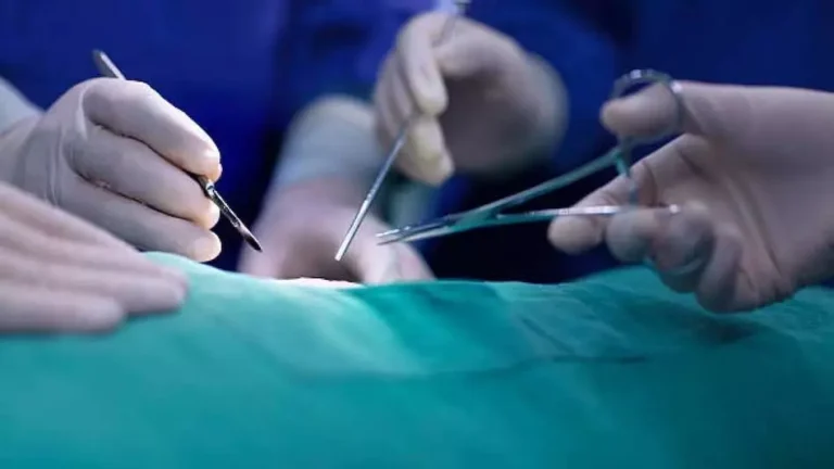 https://news4u36.in/wrong-leg-surgery-bilaspur-high-court-action/