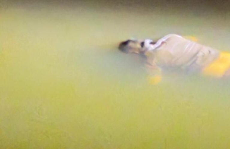 https://news4u36.in/bilaspur-high-court-advocate-found-dead-in-arpa-river/