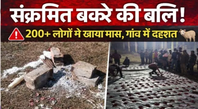 https://news4u36.in/rabies-infected-goat-sacrifice-village-panic-sarguja/