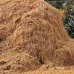 https://news4u36.in/innocent-child-dies-after-falling-from-paddy-stack-in-korba/