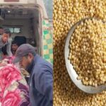 https://news4u36.in/balrampur-kodo-rice-eating-family-6-people-hospitalized/