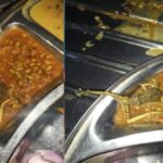 https://news4u36.in/frog-found-in-dental-college-mess-rajnandgaon/