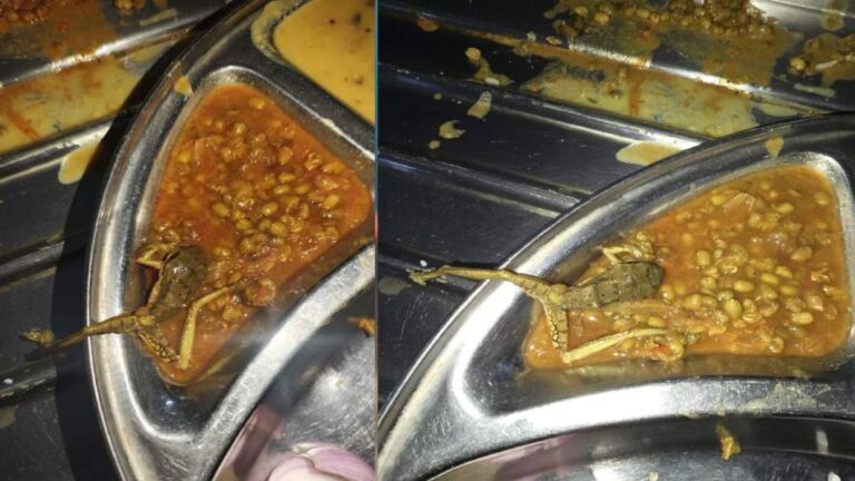 https://news4u36.in/frog-found-in-dental-college-mess-rajnandgaon/