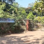 Raipur DEO Fire Case