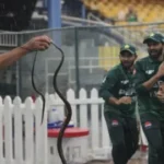 https://news4u36.in/ind-vs-pak-snake-in-pakistan-dugout-colombo/