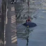 https://news4u36.in/raipur-kankali-talab-unknown-body-found/