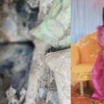 https://news4u36.in/rajim-chanchal-sahu-dead-body-found/