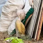 https://news4u36.in/gandhi-statue-found-in-garbage-chhattisgarh-gpm-controversy/