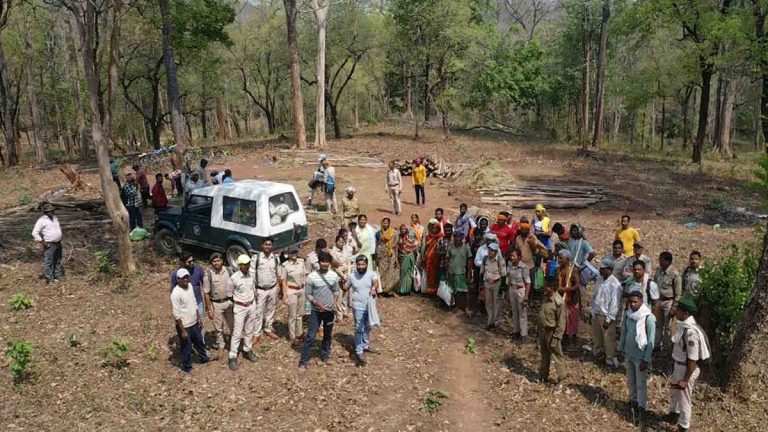 गरियाबंद: टाइगर रिजर्व में अतिक्रमण का बड़ा खेल, 22 लोग पहुंचे जेल