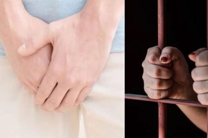 बिलासपुर: पत्नी ने गुस्से में काट दिया पति का गुप्तांग