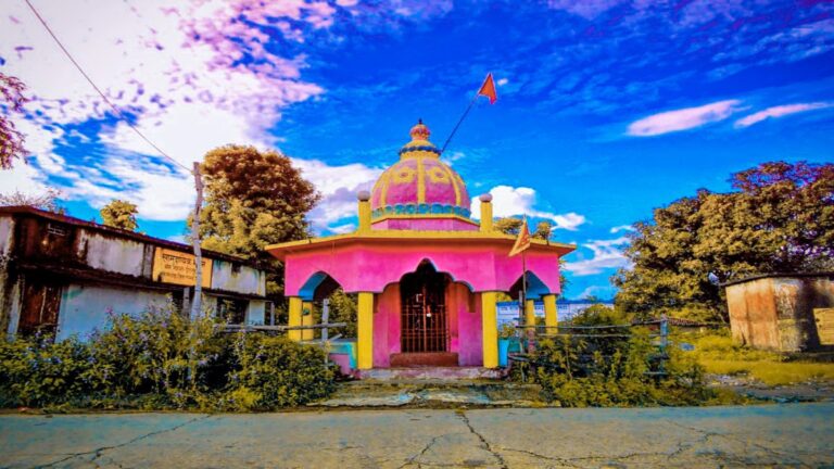 रायगढ़: बेटे की मौत का गम नहीं सह पाया पिता, दुर्गा मंदिर में काट ली जीभ