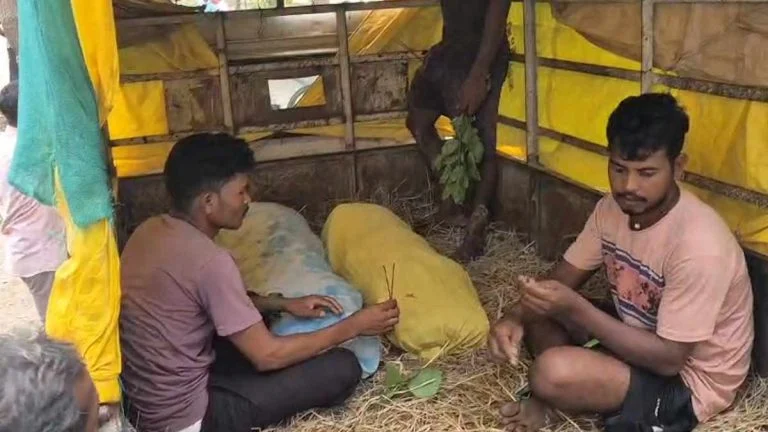छत्तीसगढ़: नाले में डूबने से दो चचेरे भाइयों की मौत, गांव में पसरा मातम