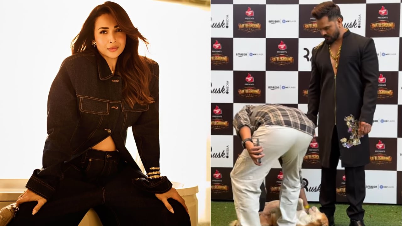 https://news4u36.in/malaika-arora-reacts-khesari-lal-yadav-viral-video/