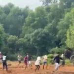 छत्तीसगढ़: वीडियो बनाने पहुंचे थे युवक, लेकिन हाथी ने ऐसा दौड़ाया कि मच गई भगदड़