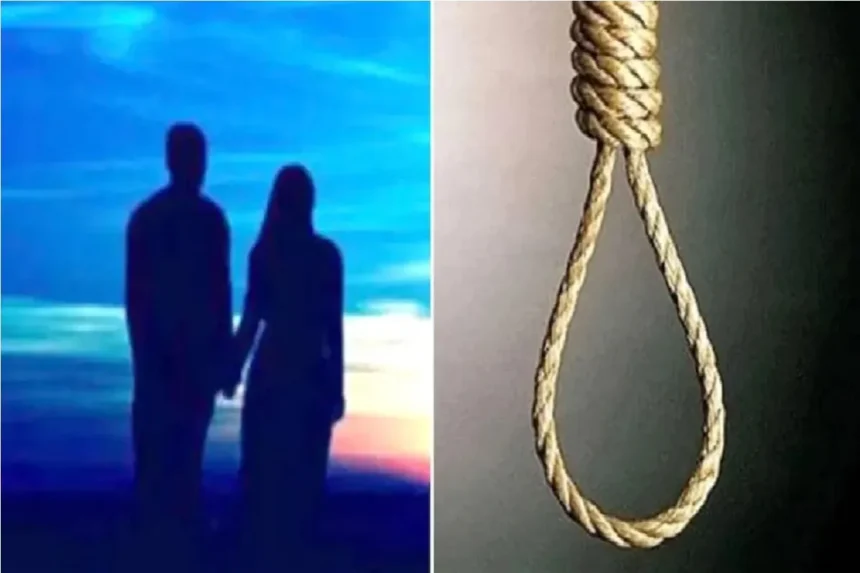 https://news4u36.in/raipur-chhattisgarh-chherikhedi-couple-death-tree/