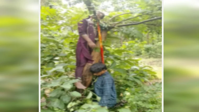 https://news4u36.in/surajpur-love-couple-dead-body-found-kotbahra-forest-police-investigation/