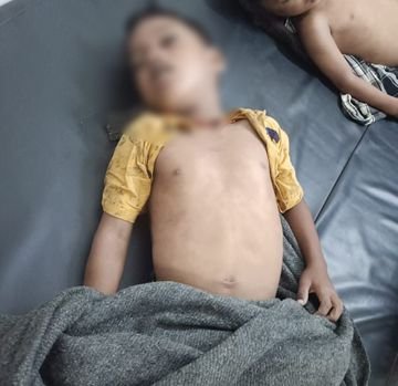 https://news4u36.in/bilaspur-two-brothers-drown-in-pond-younger-brother-rescue-attempt/